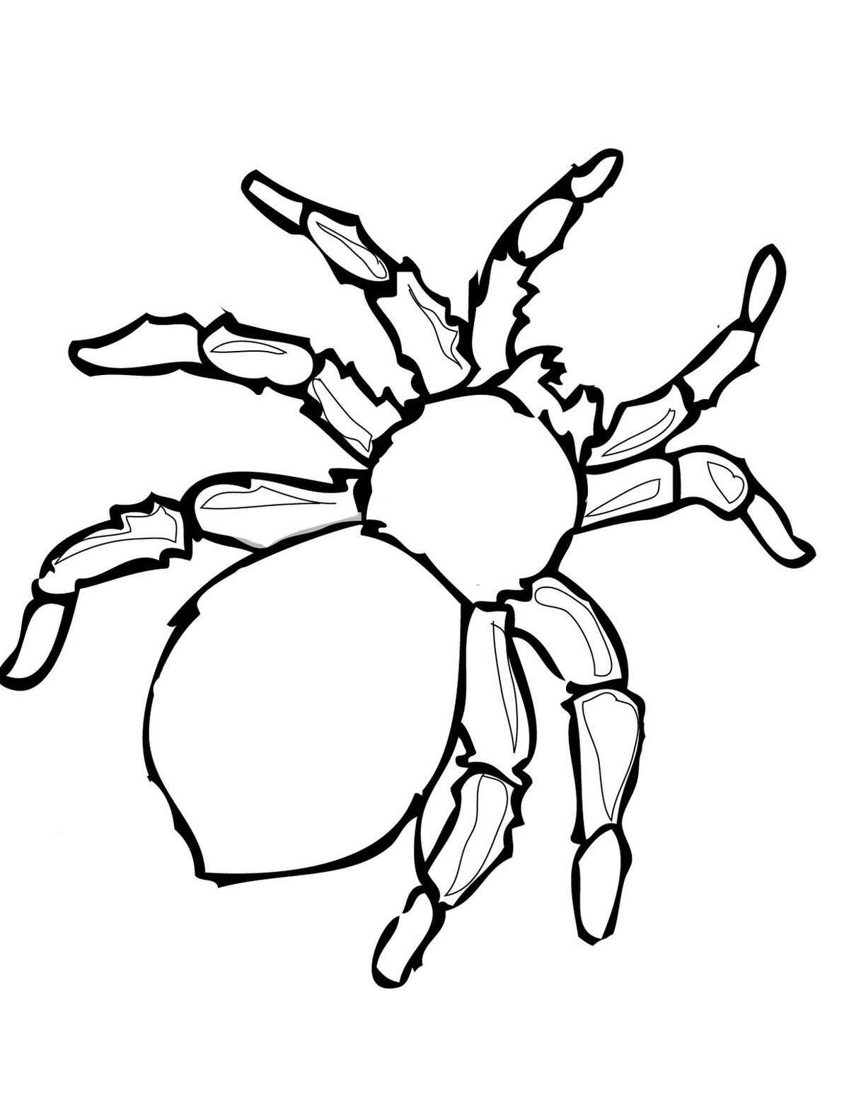 Desenho de Aranha Desenho Colorir Imprimir 03