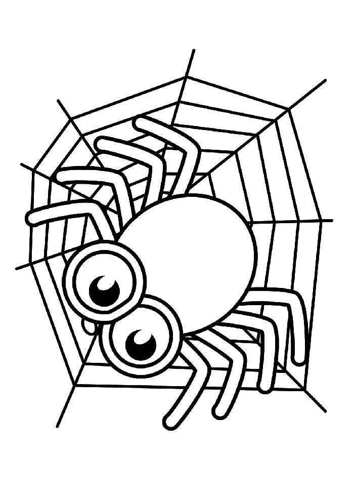 Desenho de Aranha Desenho Colorir Imprimir 05