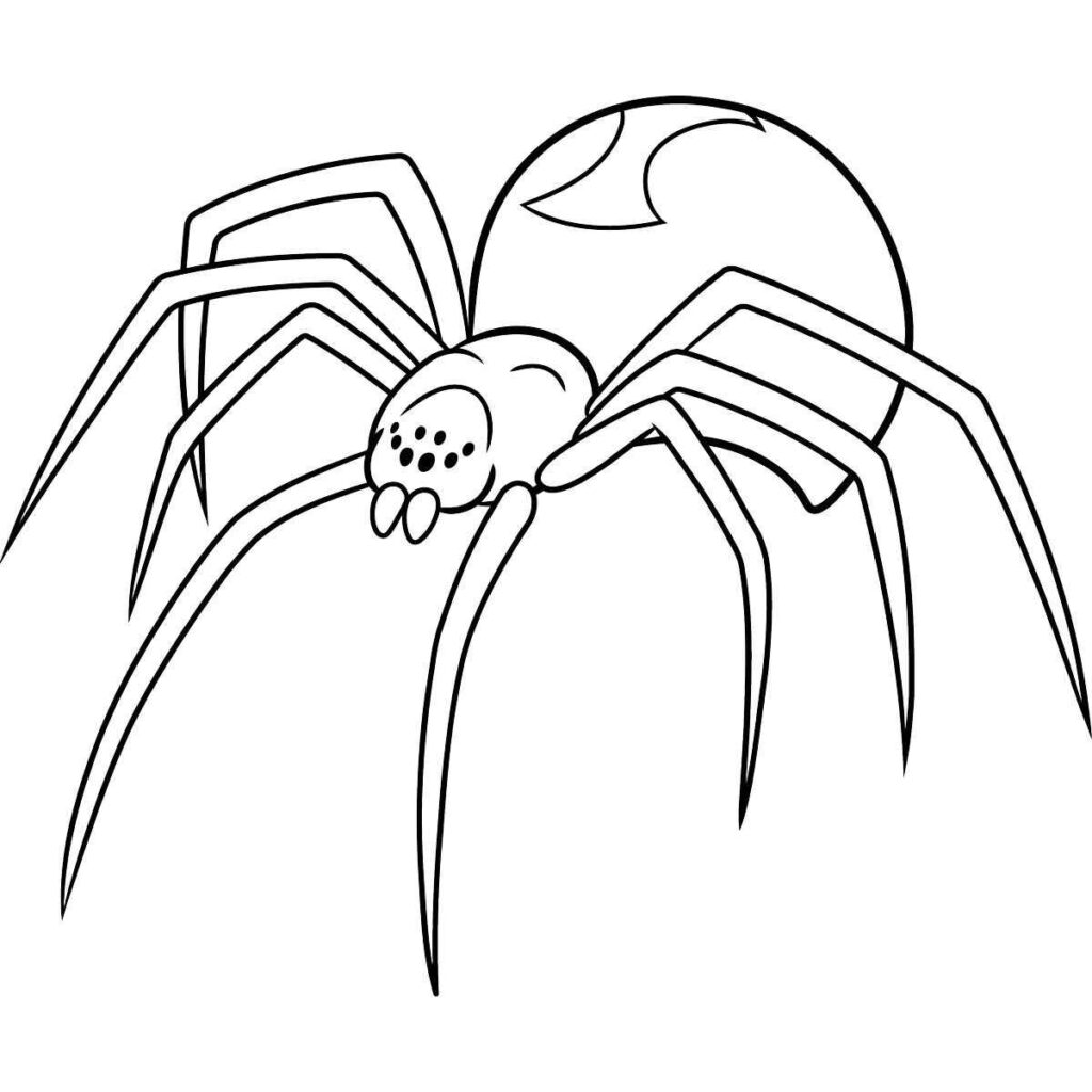 Desenhos de Aranhas para Imprimir e Colorir