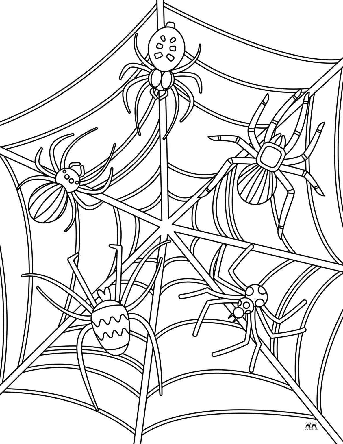Desenho de Aranha Desenho Colorir Imprimir 09