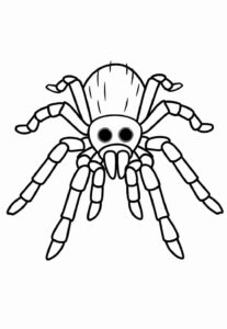 Desenho de Aranha Desenho Colorir Imprimir 21