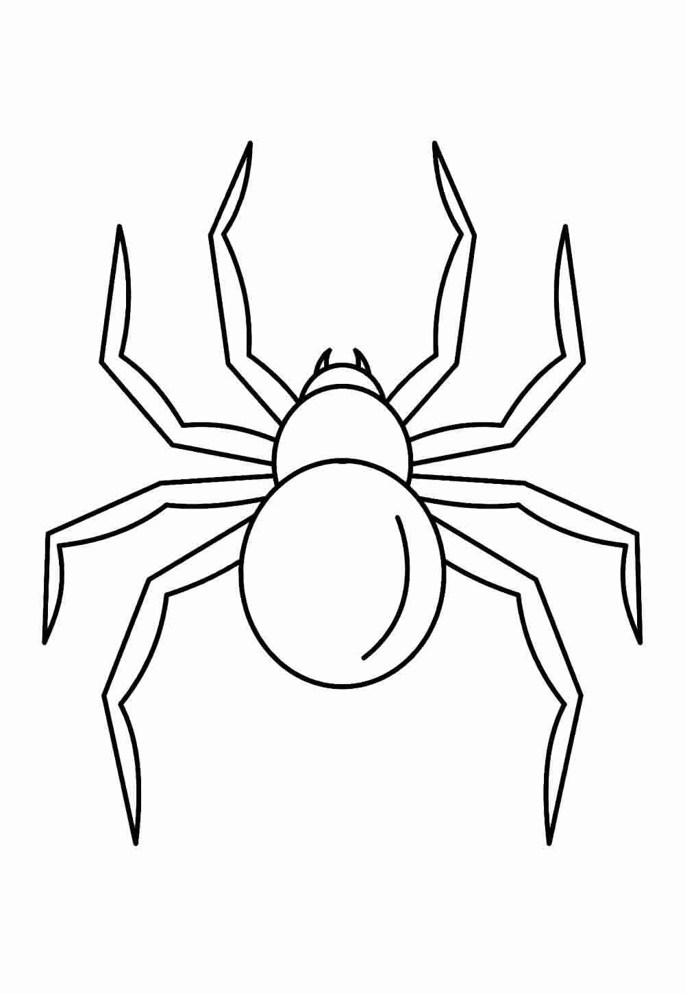 Desenho de Aranha Desenho Colorir Imprimir 30