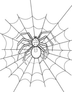 Desenho de Aranha Desenho Colorir Imprimir 33
