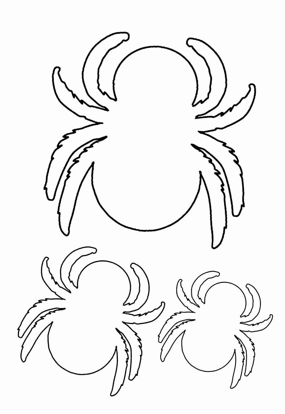 Desenho de Aranha Desenho Colorir Imprimir 35