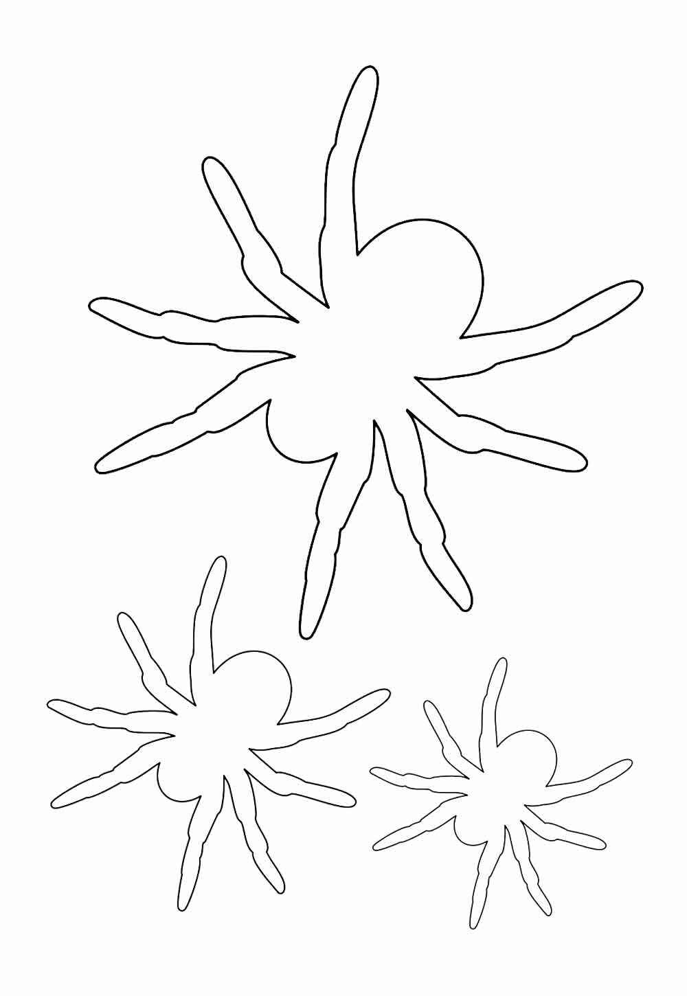 Desenho de Aranha Desenho Colorir Imprimir 37