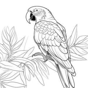 Desenho de Arara Desenho Colorir Imprimir 01