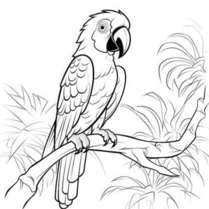 Desenho de Arara Desenho Colorir Imprimir 02