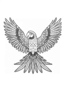 Desenho de Arara Desenho Colorir Imprimir 03