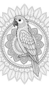 Desenho de Arara Desenho Colorir Imprimir 08