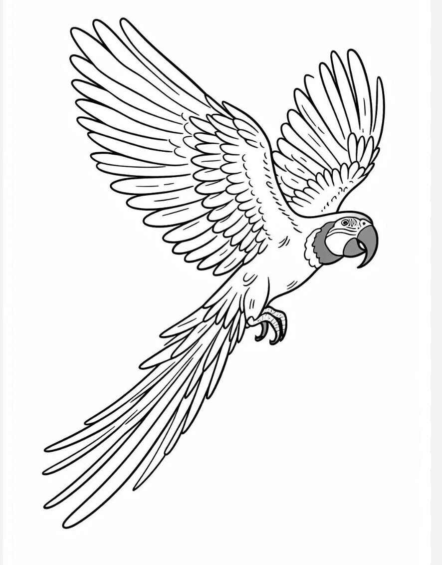 Desenho de Arara Desenho Colorir Imprimir 10