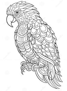 Desenho de Arara Desenho Colorir Imprimir 11