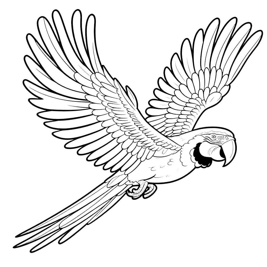 Desenho de Arara Desenho Colorir Imprimir 14