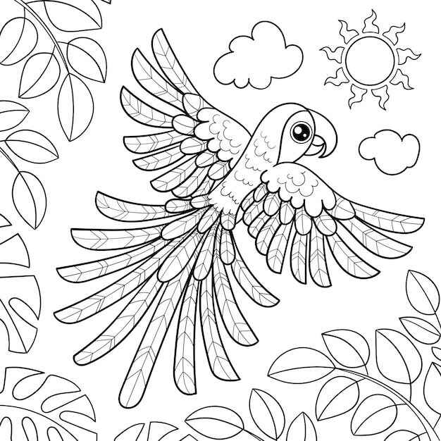 Desenho de Arara Desenho Colorir Imprimir 18