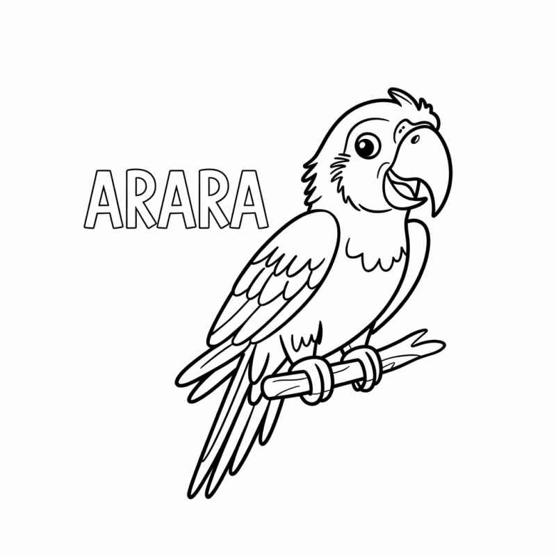 Desenho de Arara Desenho Colorir Imprimir 28