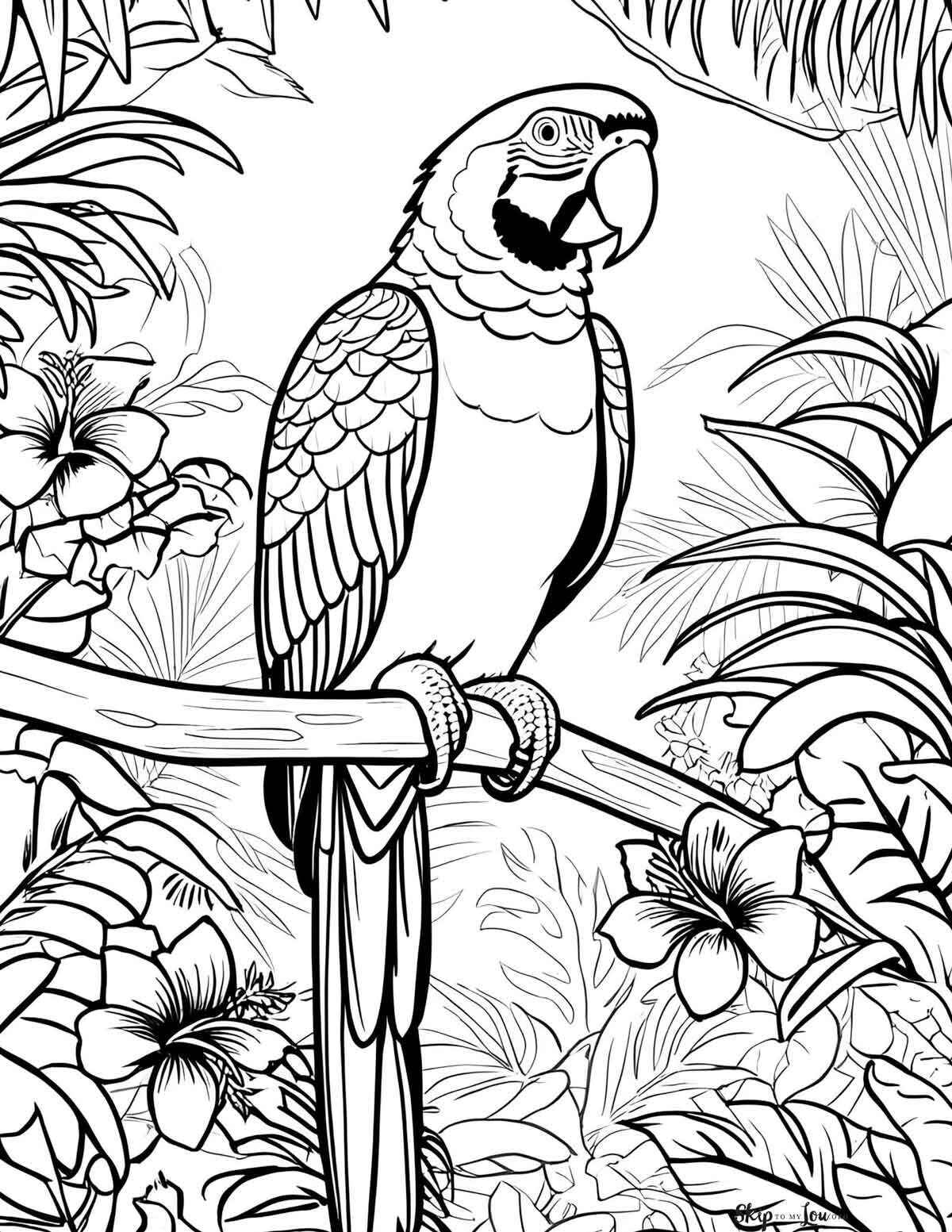 Desenho de Arara Desenho Colorir Imprimir 35