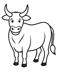 Desenho de Boi Desenho Colorir Imprimir 11