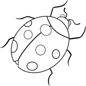 Desenho de Joaninha Desenho Colorir Imprimir 01