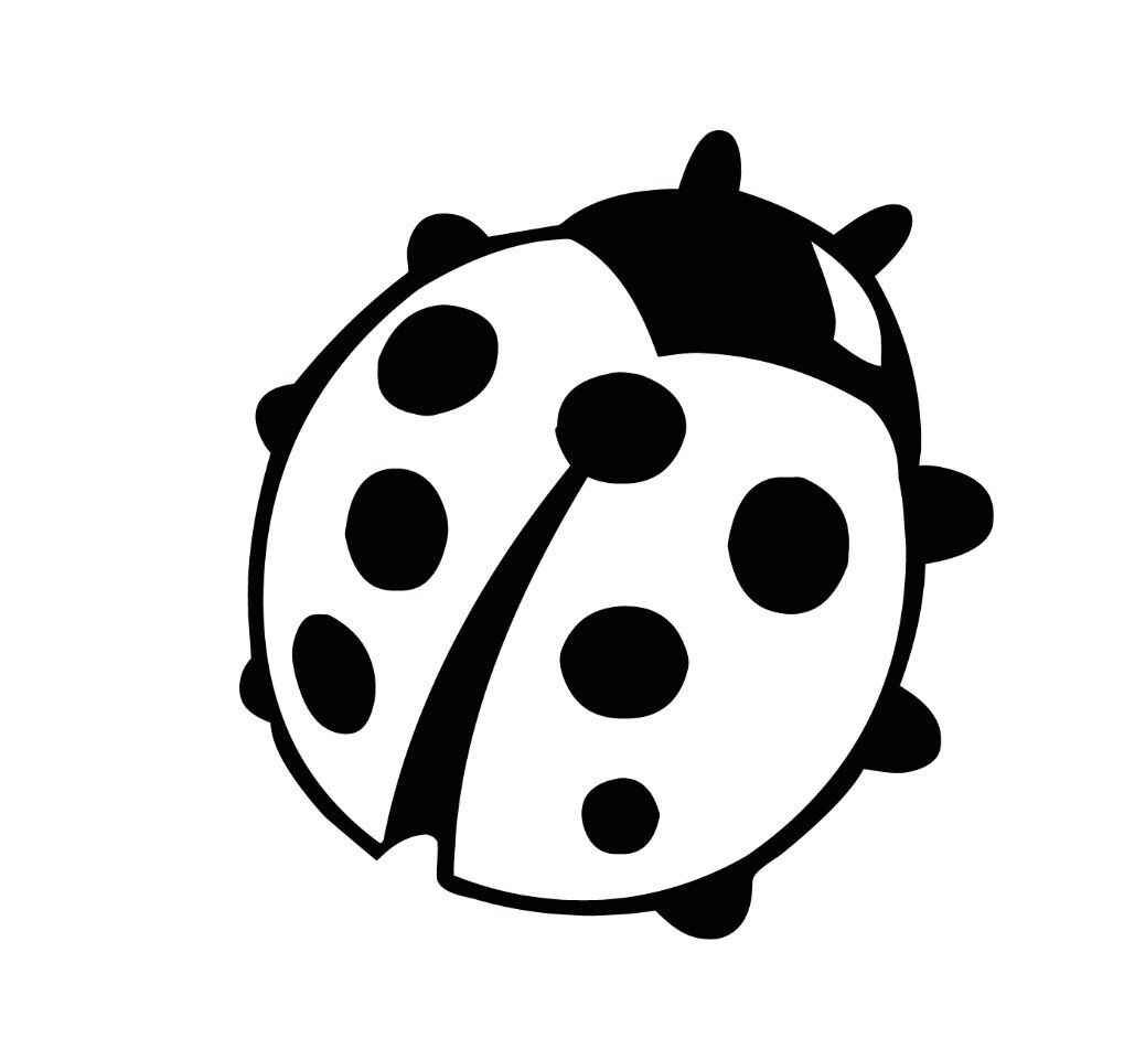 Desenho de Joaninha Desenho Colorir Imprimir 02