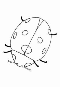 Desenho de Joaninha Desenho Colorir Imprimir 10