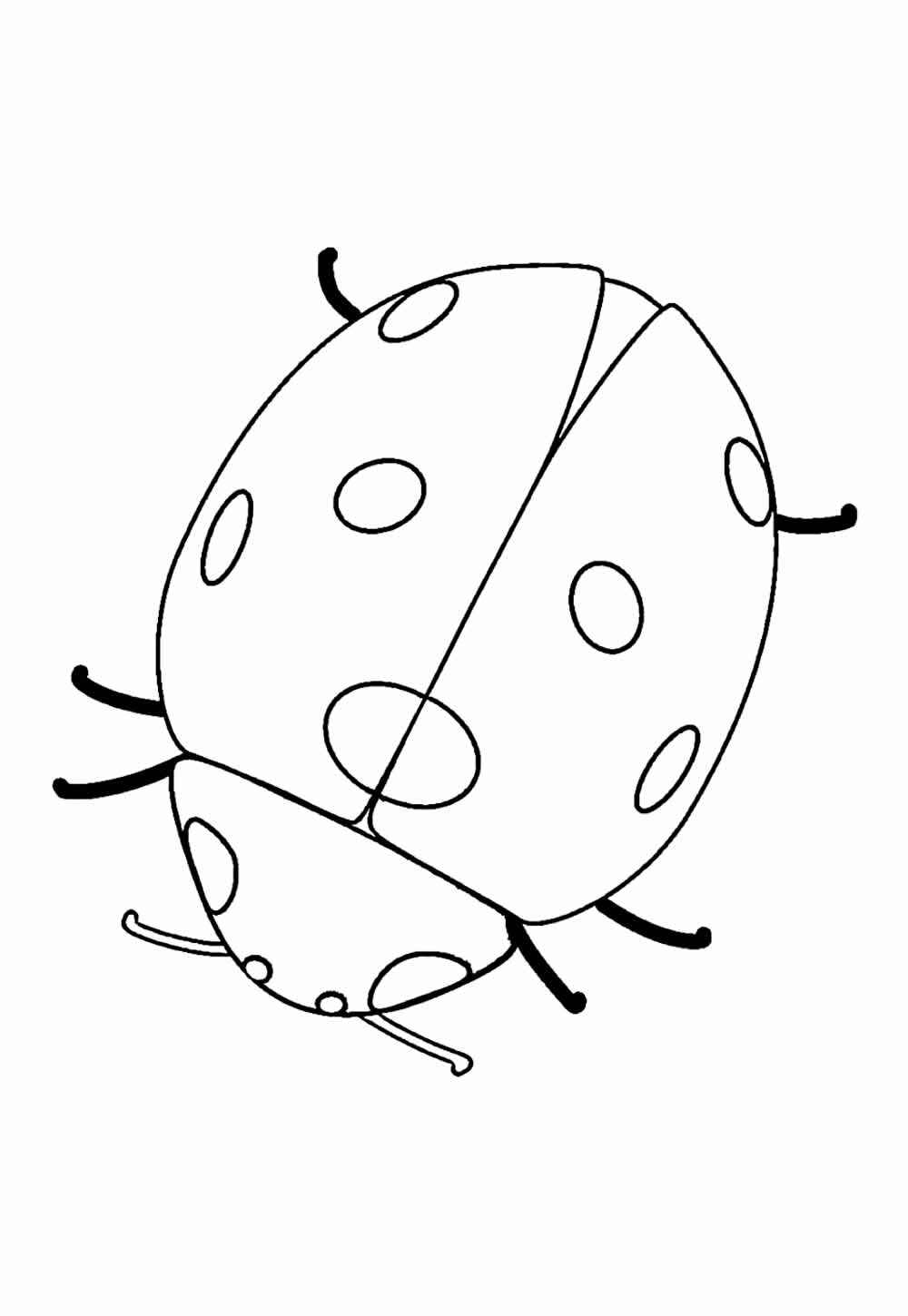 Desenho de Joaninha Desenho Colorir Imprimir 10