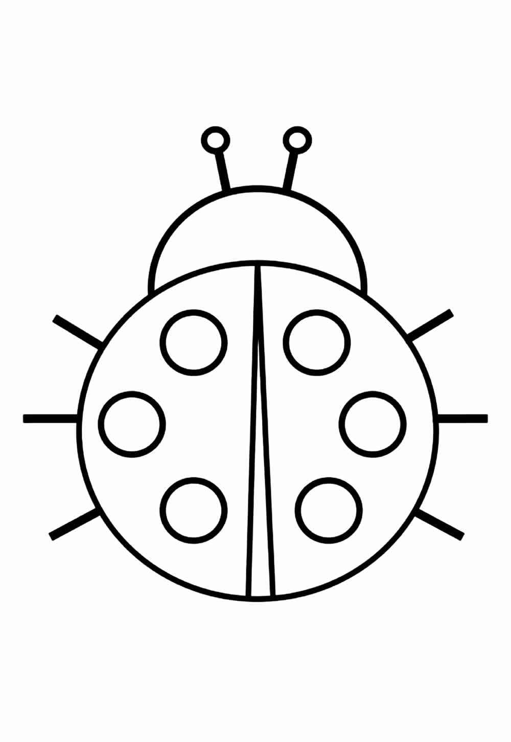 Desenho de Joaninha Desenho Colorir Imprimir 11