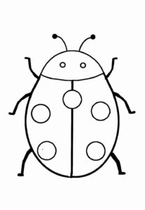 Desenho de Joaninha Desenho Colorir Imprimir 13