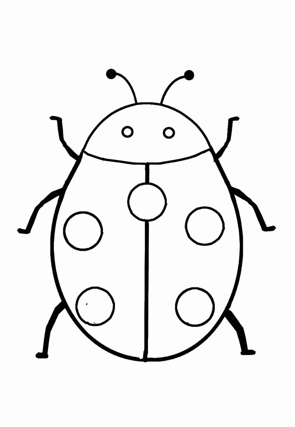 Desenho de Joaninha Desenho Colorir Imprimir 13