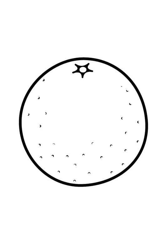 Desenho de Laranja Desenho Colorir Imprimir 07