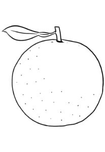 Desenho de Laranja Desenho Colorir Imprimir 08