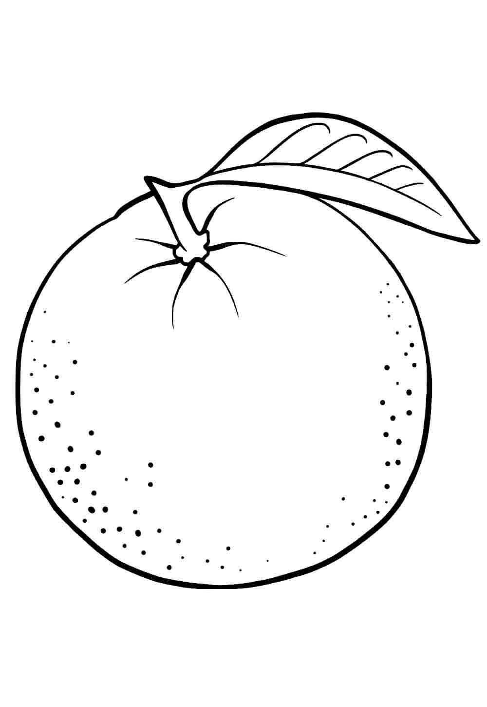 Desenho de Laranja Desenho Colorir Imprimir 09
