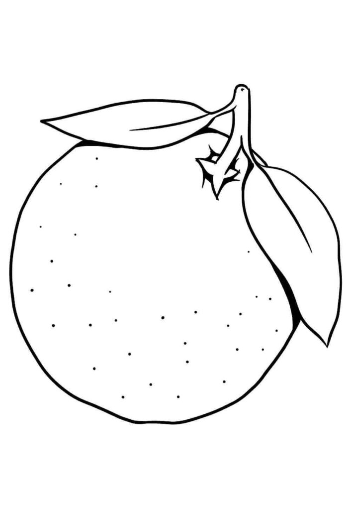 Desenhos de Laranjas para Imprimir e Colorir