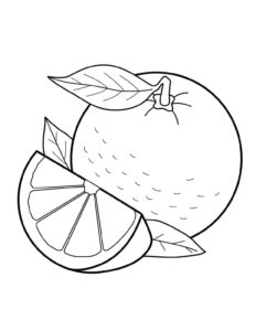 Desenho de Laranja Desenho Colorir Imprimir 18