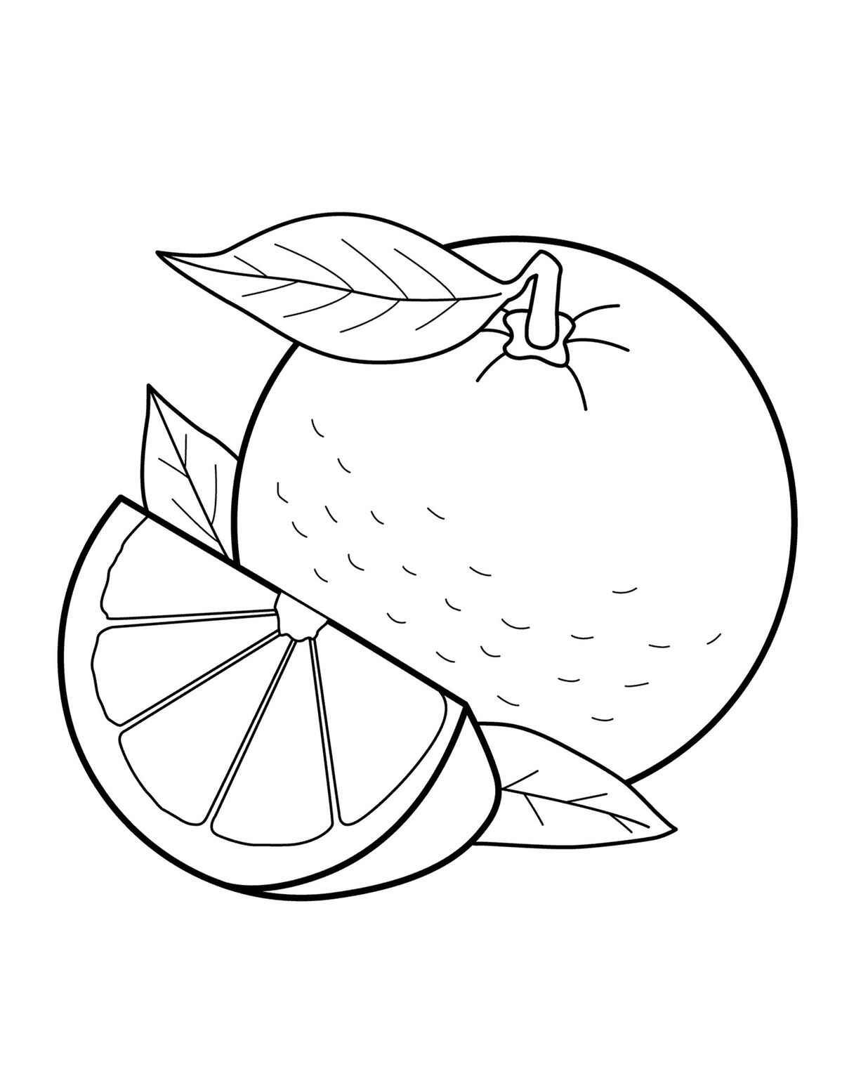 Desenho de Laranja Desenho Colorir Imprimir 18