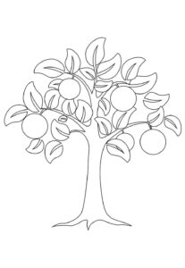 Desenho de Laranja Desenho Colorir Imprimir 21