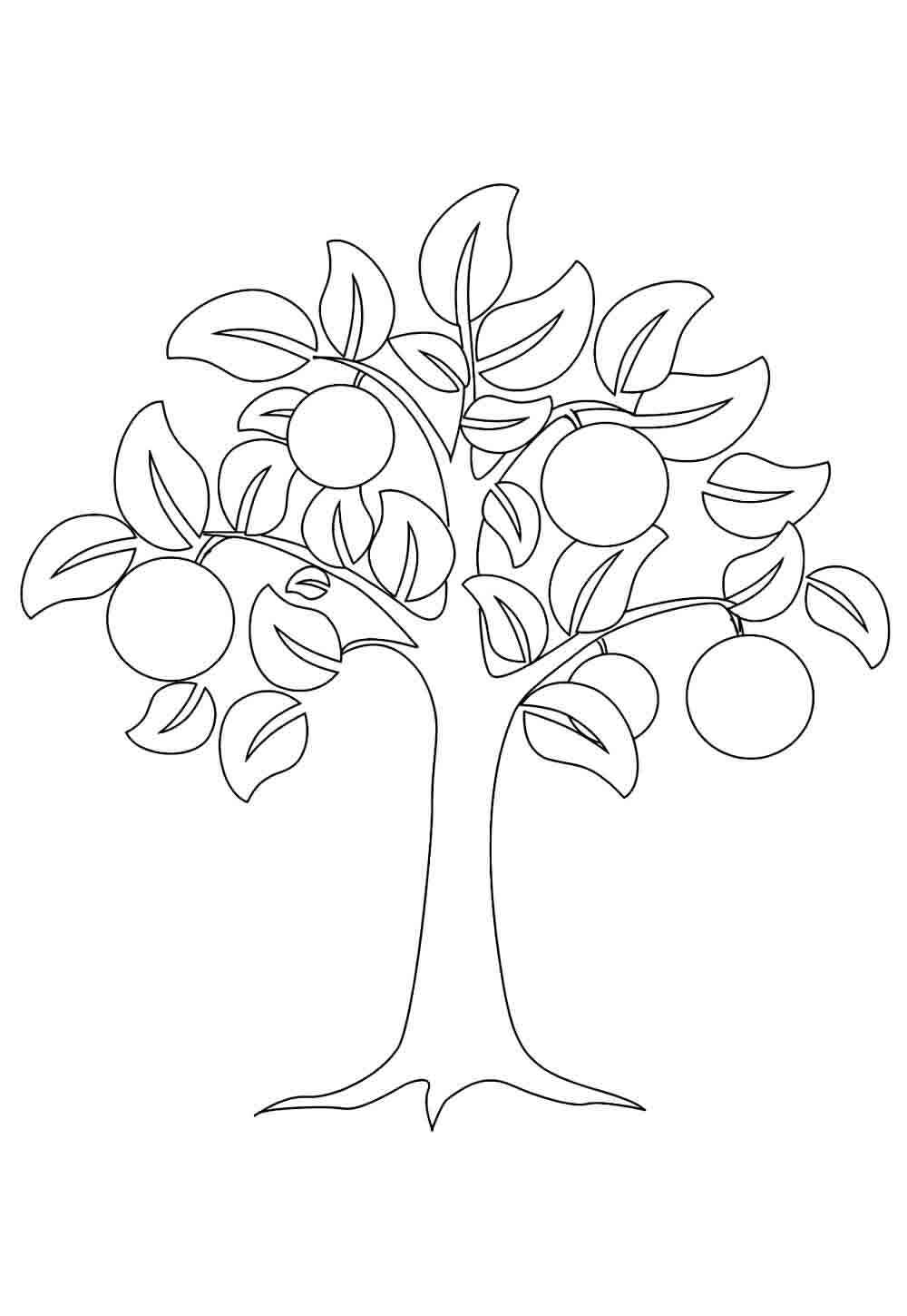 Desenho de Laranja Desenho Colorir Imprimir 21