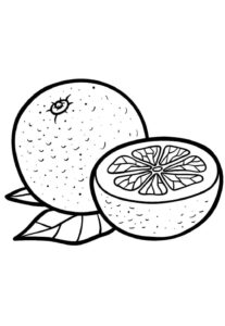 Desenho de Laranja Desenho Colorir Imprimir 22
