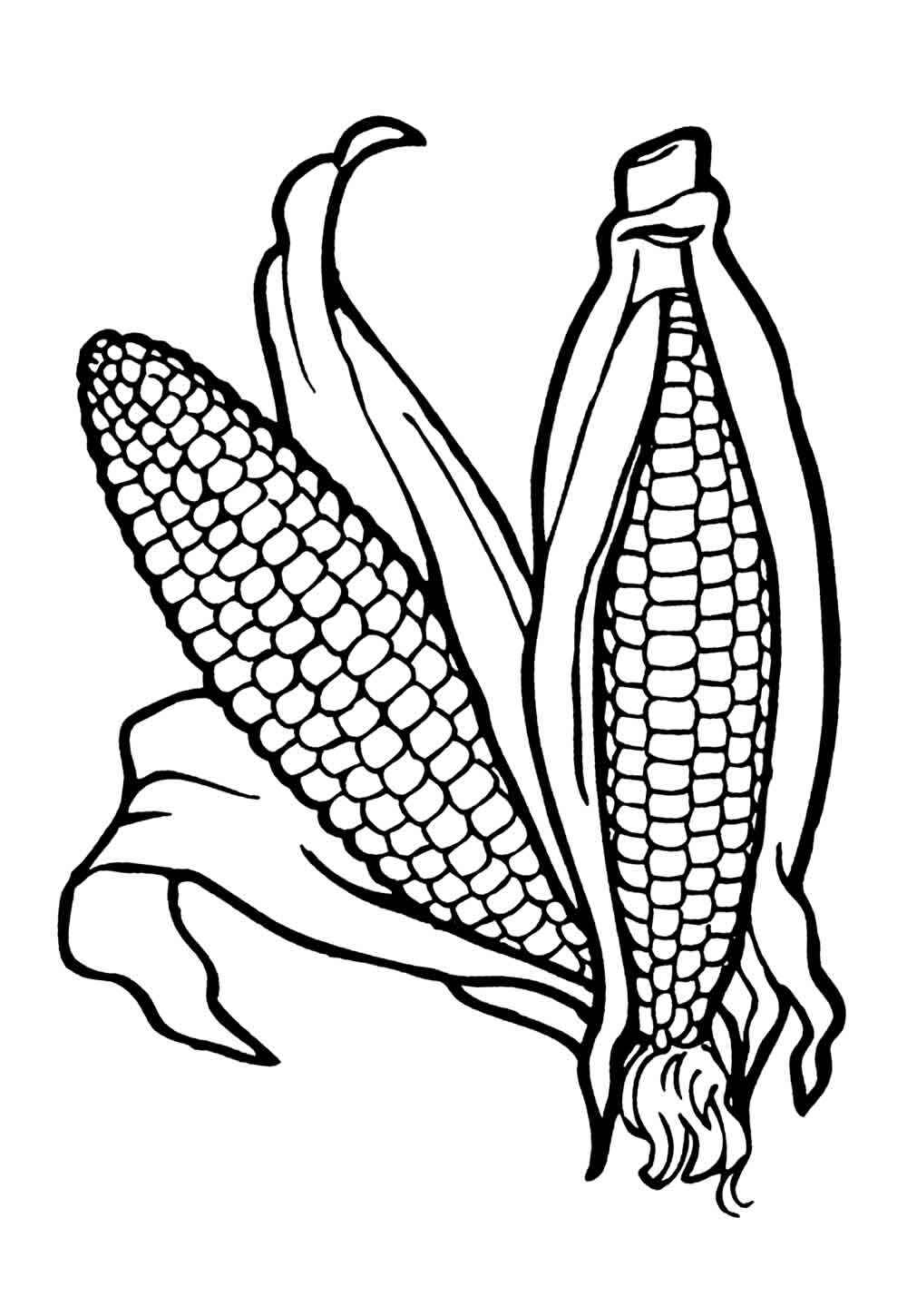 Desenho de Milho Desenho Colorir Imprimir 06