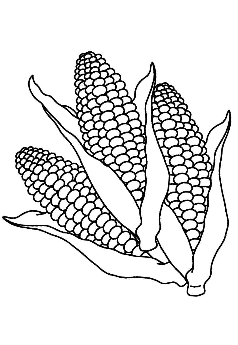 Desenho de Milho Desenho Colorir Imprimir 08