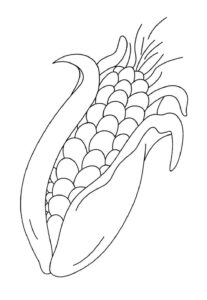 Desenho de Milho Desenho Colorir Imprimir 21