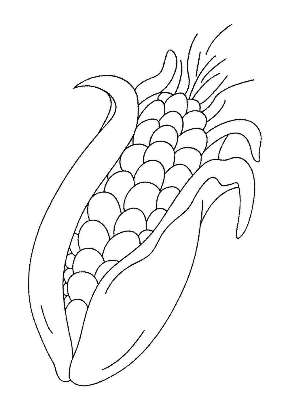 Desenho de Milho Desenho Colorir Imprimir 21