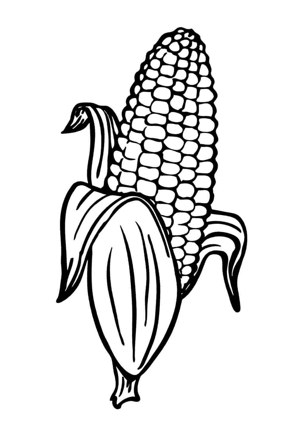 Desenho de Milho Desenho Colorir Imprimir 24