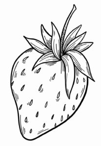 Desenho de Morango Desenho Colorir Imprimir 13