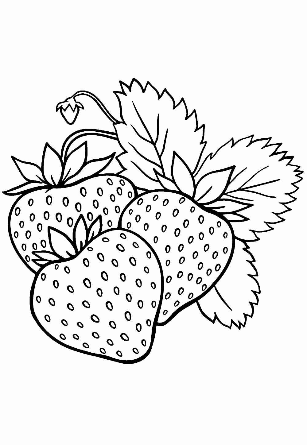 Desenho de Morango Desenho Colorir Imprimir 41