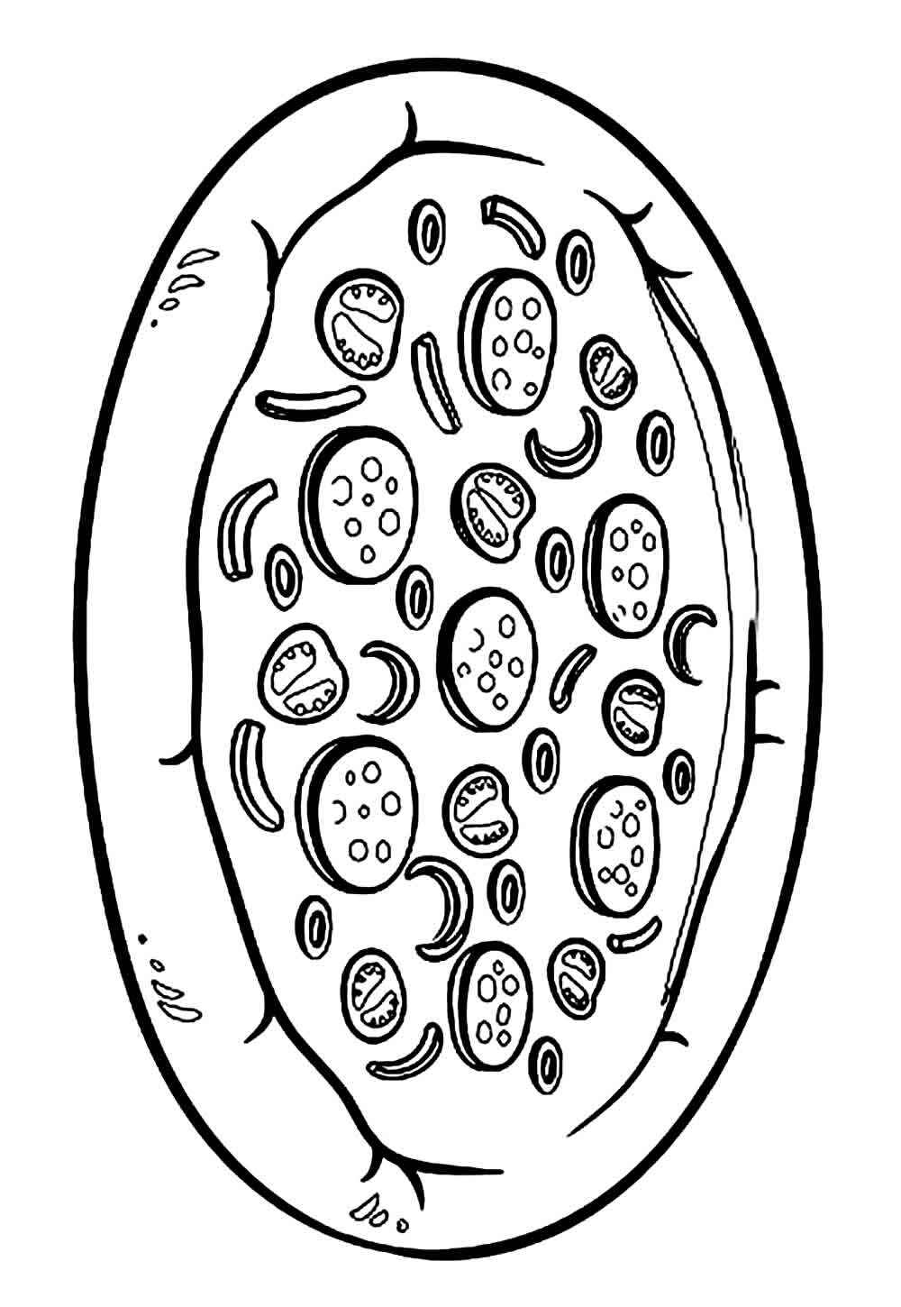 Desenho de Pizza Desenho Colorir Imprimir 22