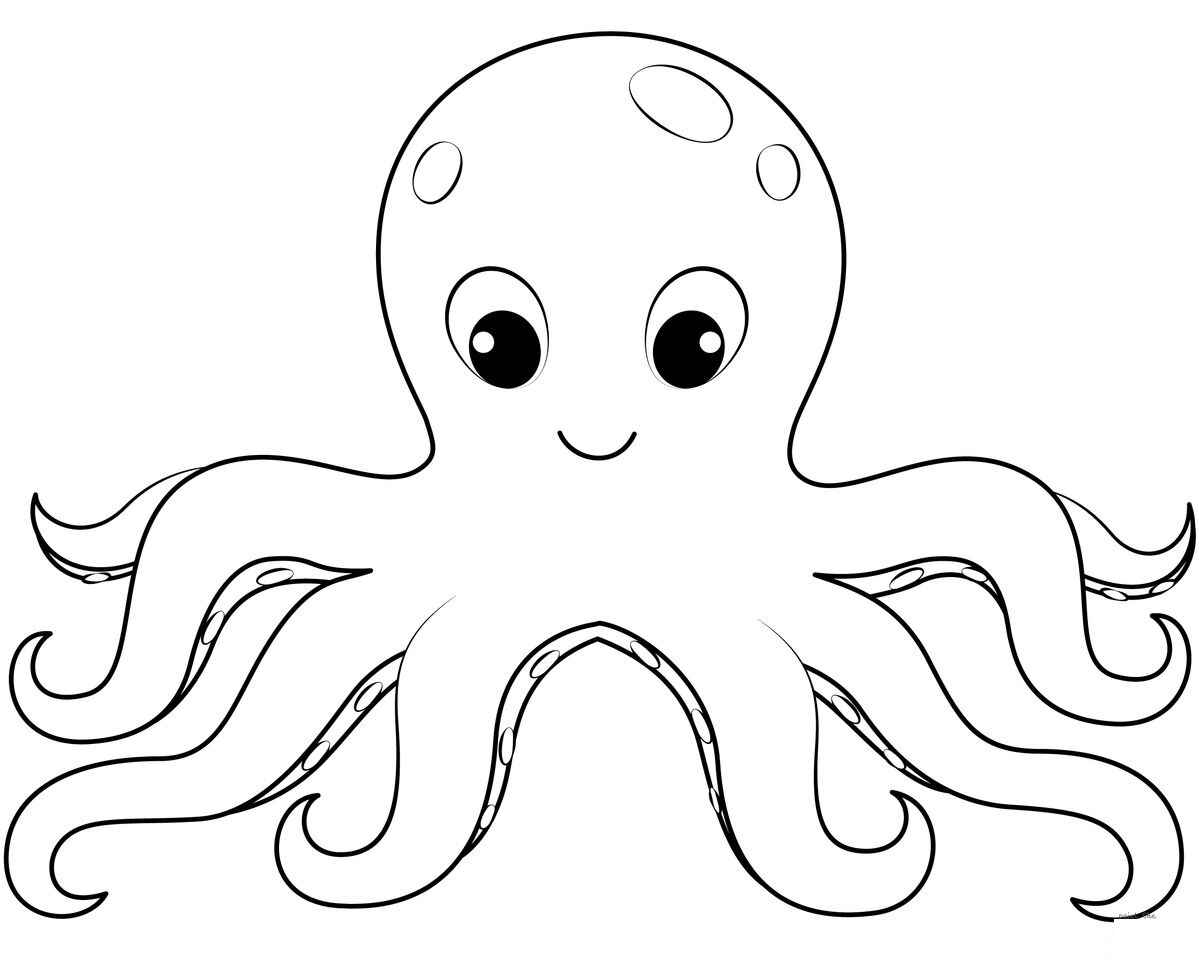 Desenho de Polvo Desenho Colorir Imprimir 05