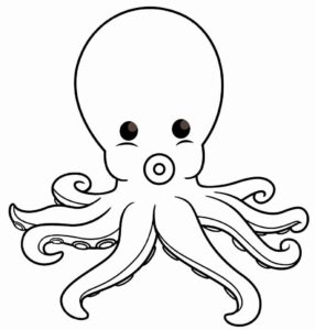 Desenho de Polvo Desenho Colorir Imprimir 15