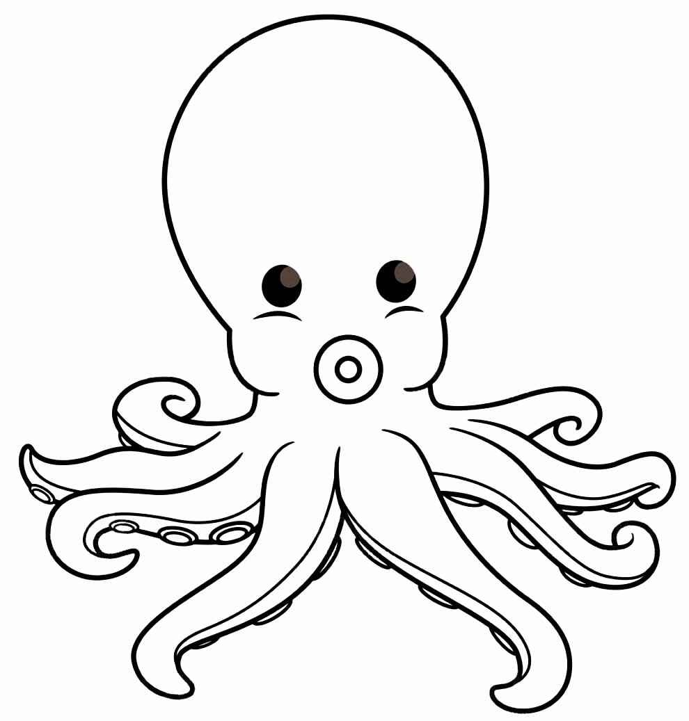 Desenho de Polvo Desenho Colorir Imprimir 15