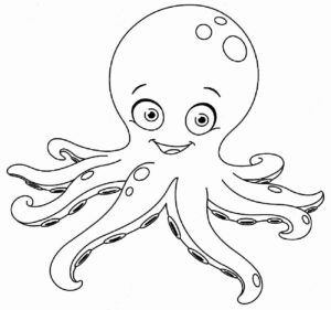 Desenho de Polvo Desenho Colorir Imprimir 17