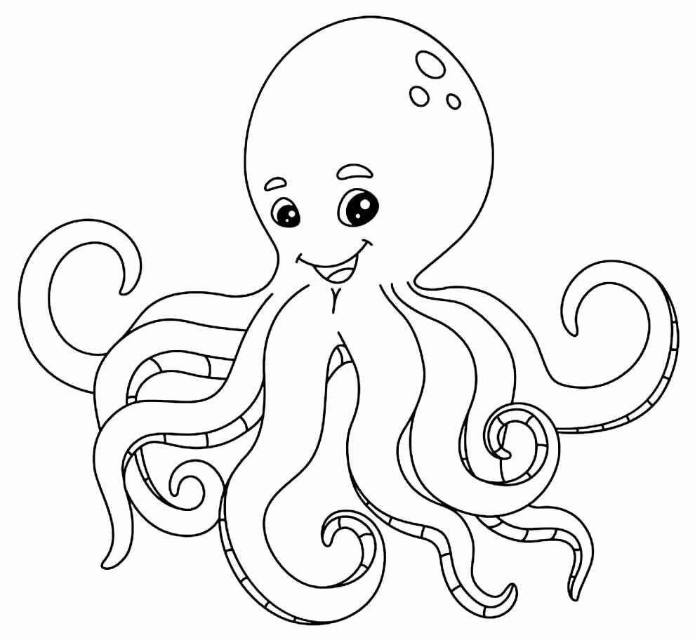 Desenho de Polvo Desenho Colorir Imprimir 19