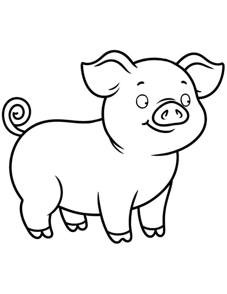 Desenho de Porco Desenho Colorir Imprimir 25